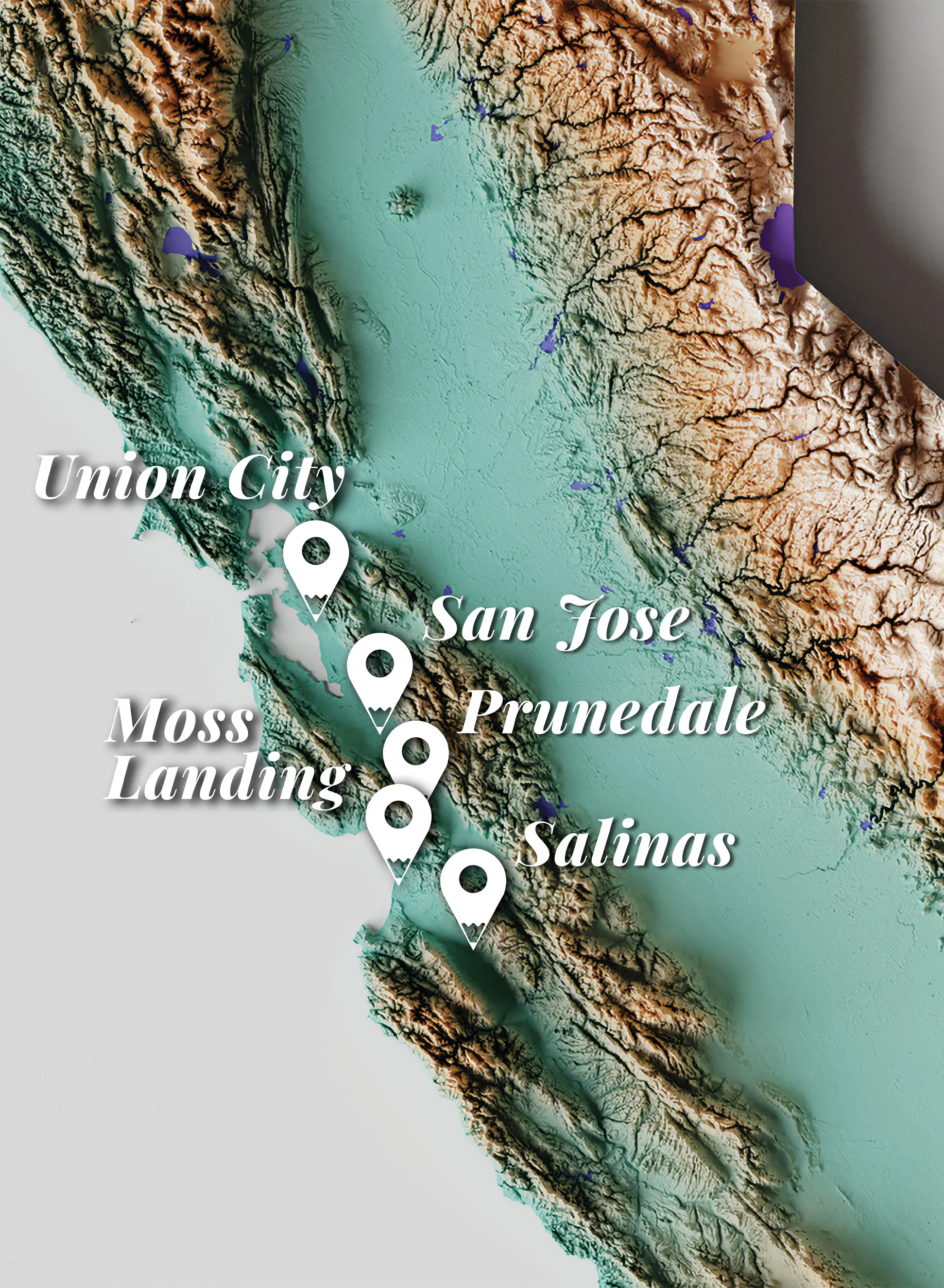 Map of Grupo Flor retail locations
